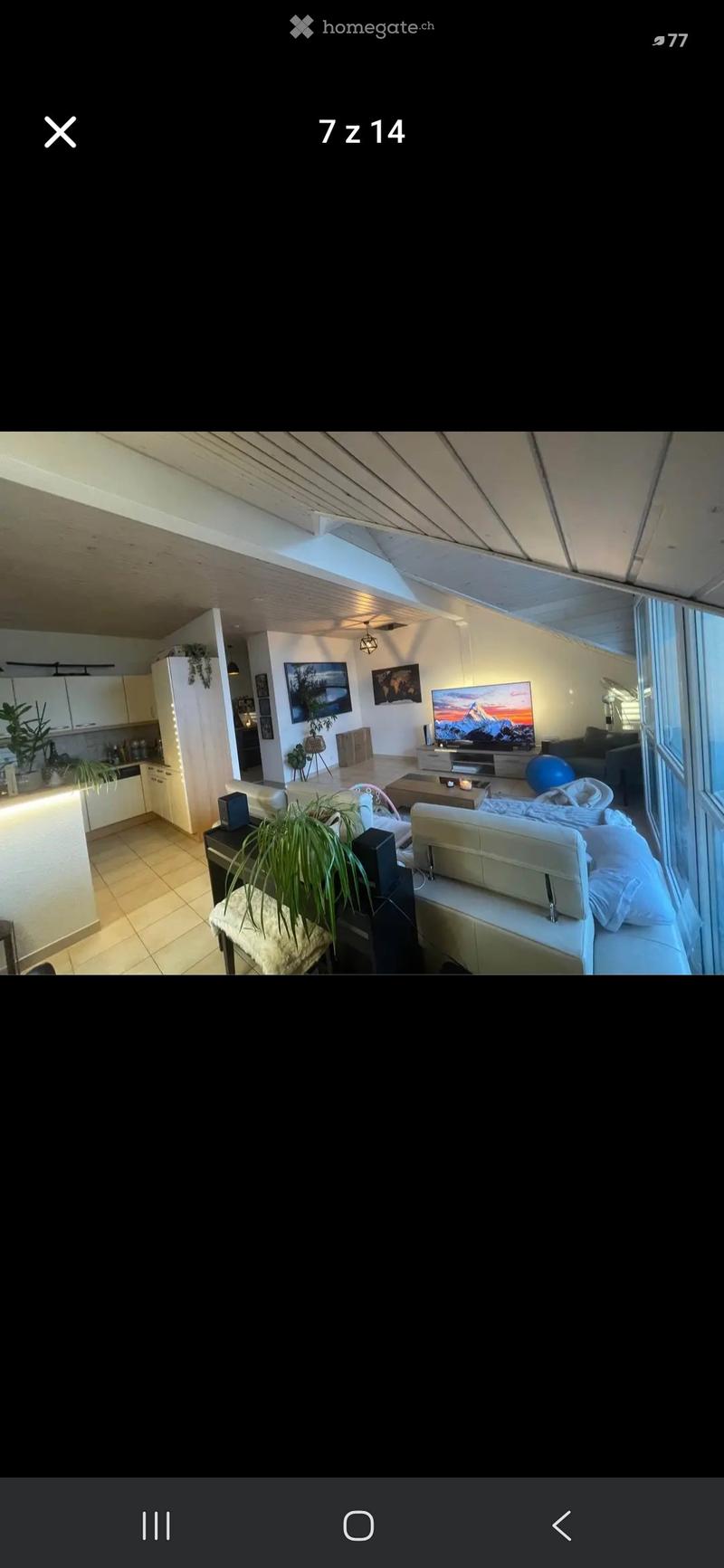 Open-plan living and dining area with a white sofa, coffee table, television, kitchen area with cabinets and island, and several potted plants.