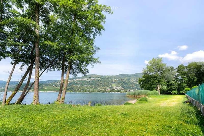 Lush green lawn with tall trees, a serene lake in the background, and distant hills under a clear blue sky.