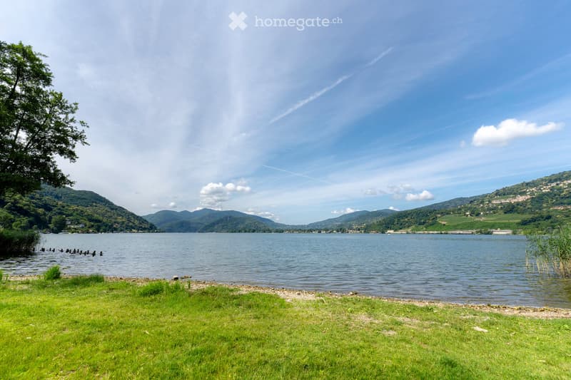 A serene lakeside view with calm water, distant hills, and a clear blue sky. The foreground features a grassy area with a few scattered trees and shrubs.