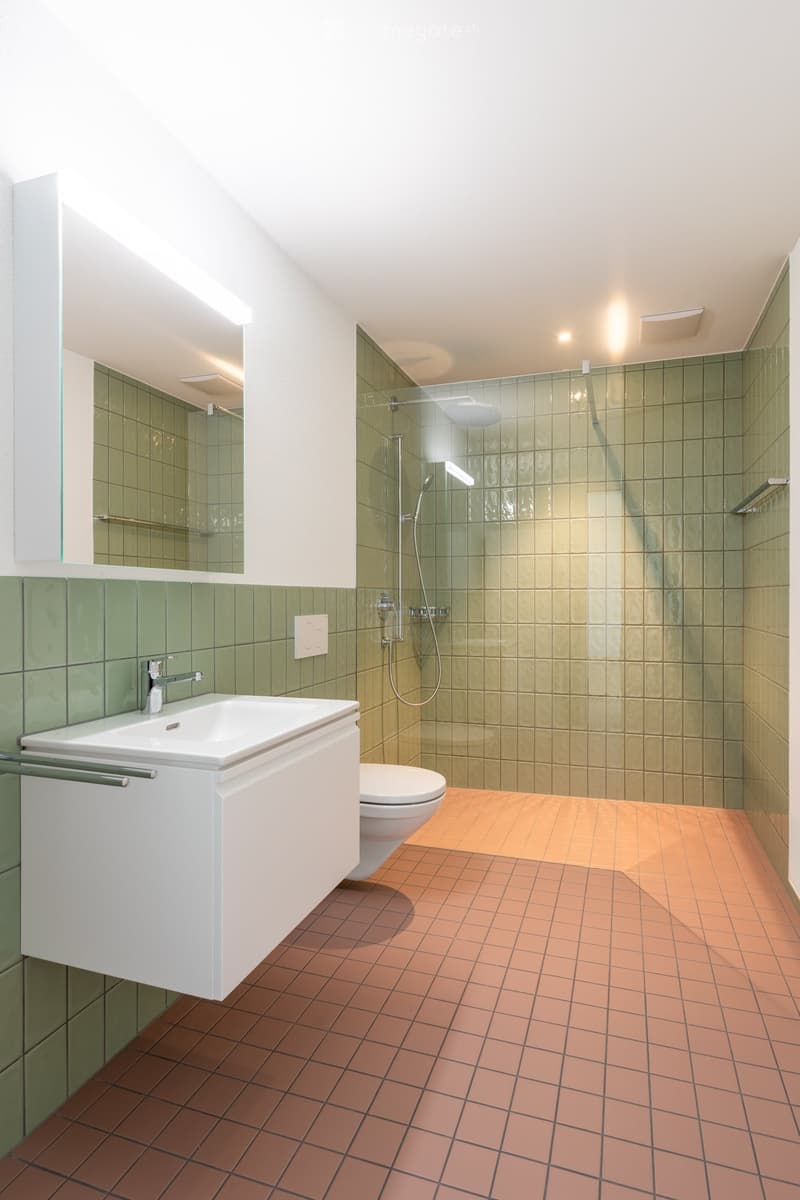 Modern bathroom with green tiled walls, a white sink with a chrome faucet, a toilet, and a glass-enclosed shower with a handheld showerhead. The floor is tiled in a warm, reddish-brown color.