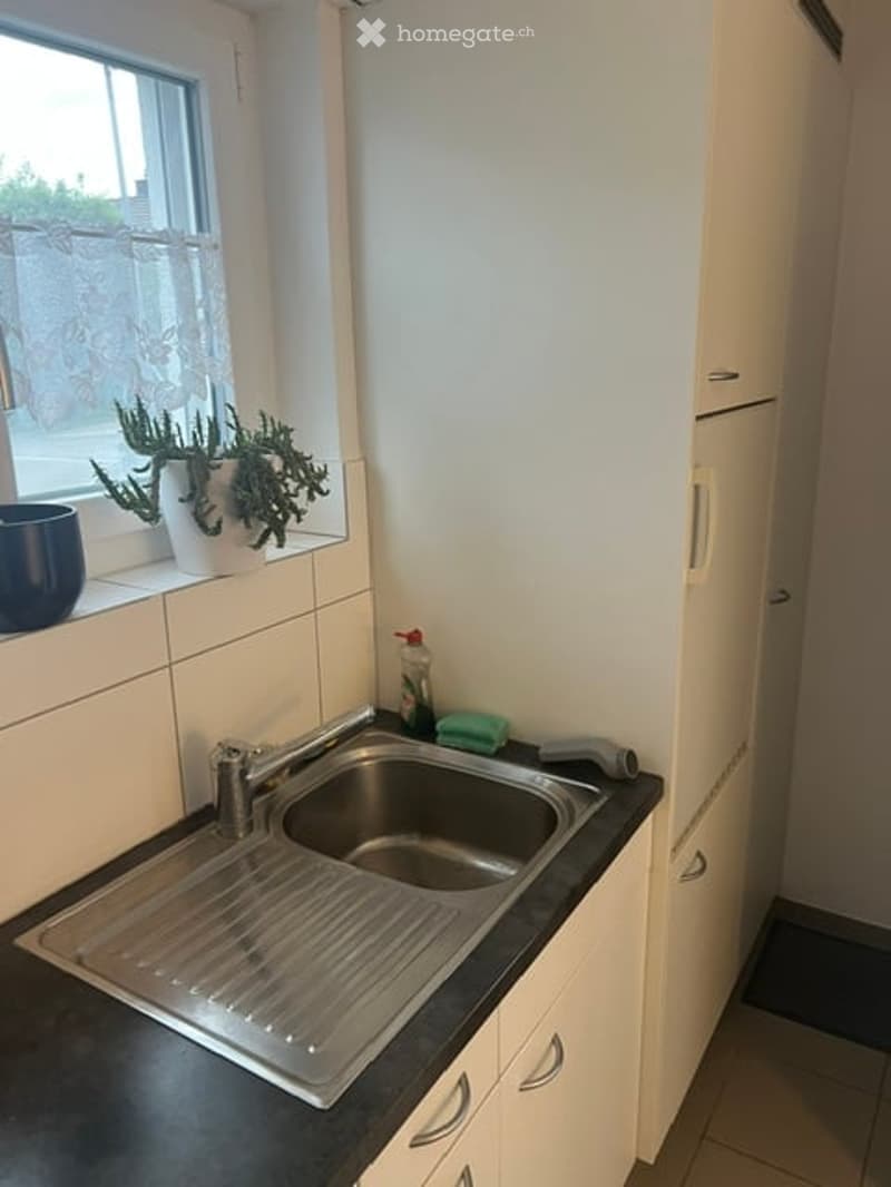 Modern kitchen with white cabinets, black countertop, stainless steel sink, and a small potted plant on the windowsill.