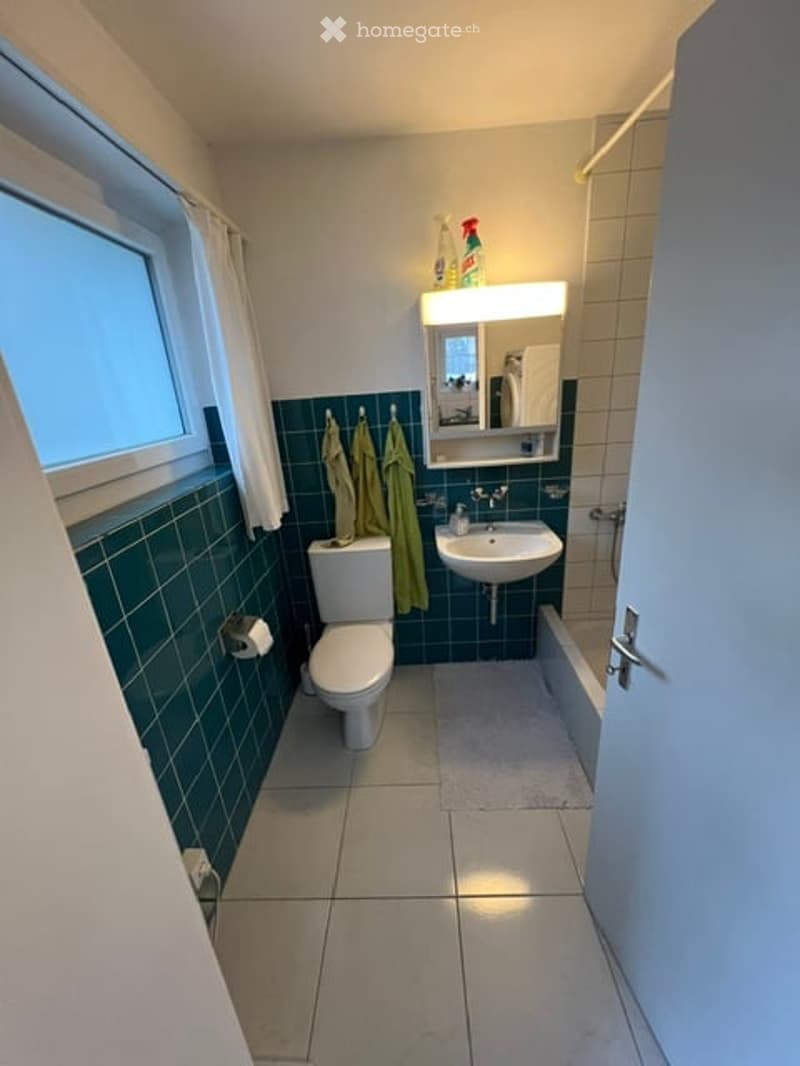 Modern bathroom with green tiled walls, white tiled floor, toilet, sink, mirror, and bathtub. Cleaning supplies are visible on the wall above the sink.