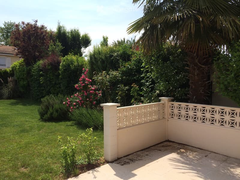 Well-maintained garden with a white decorative fence, green lawn, flowering shrubs, and a palm tree.