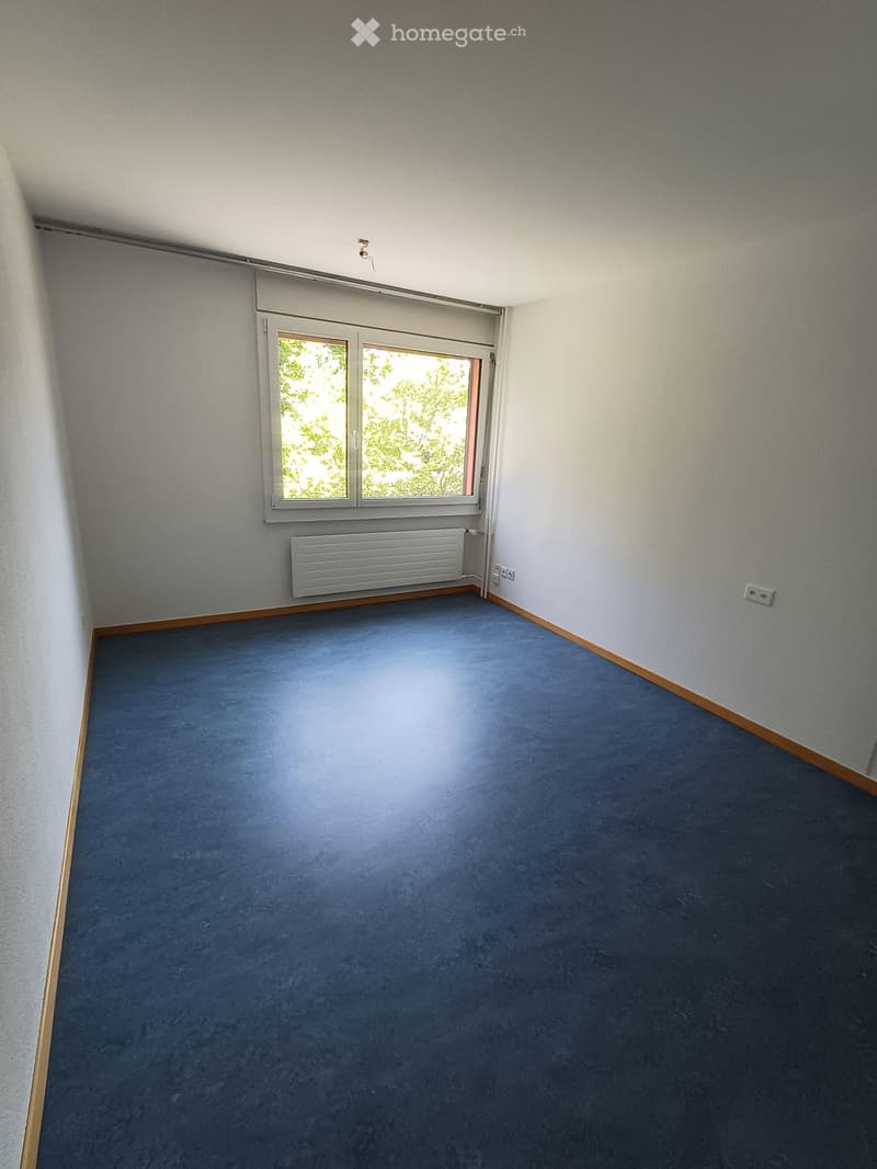 Empty room with blue carpet, light grey walls, a window with white frame, radiator, and electrical outlets.