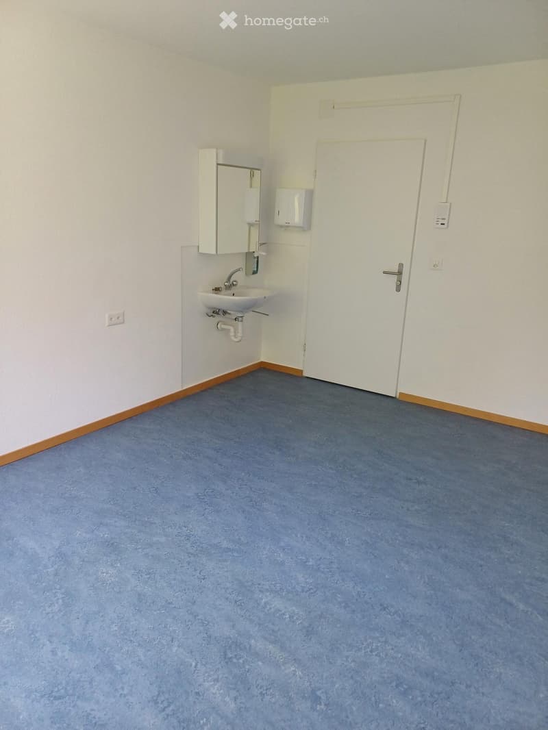 Empty room with blue carpet, white walls, a white door, a sink, and a small cabinet with a mirror.