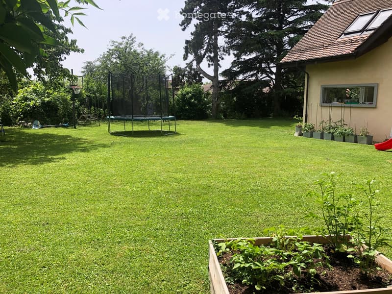 Well-maintained garden with a large lawn, a trampoline, a basketball hoop, and a raised garden bed with plants.