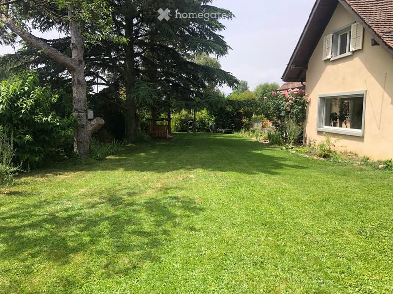 Well-maintained lawn with trees, shrubs, and a small wooden structure, adjacent to a house with light-colored walls and white-framed windows.
