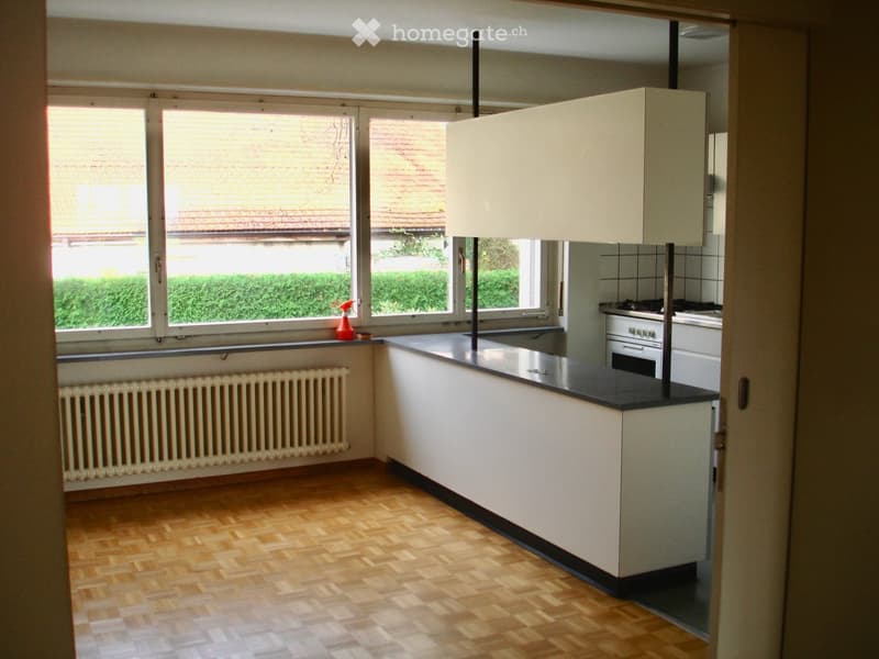 Modern kitchen with white cabinets, black countertop, wooden flooring, and large windows overlooking a garden.