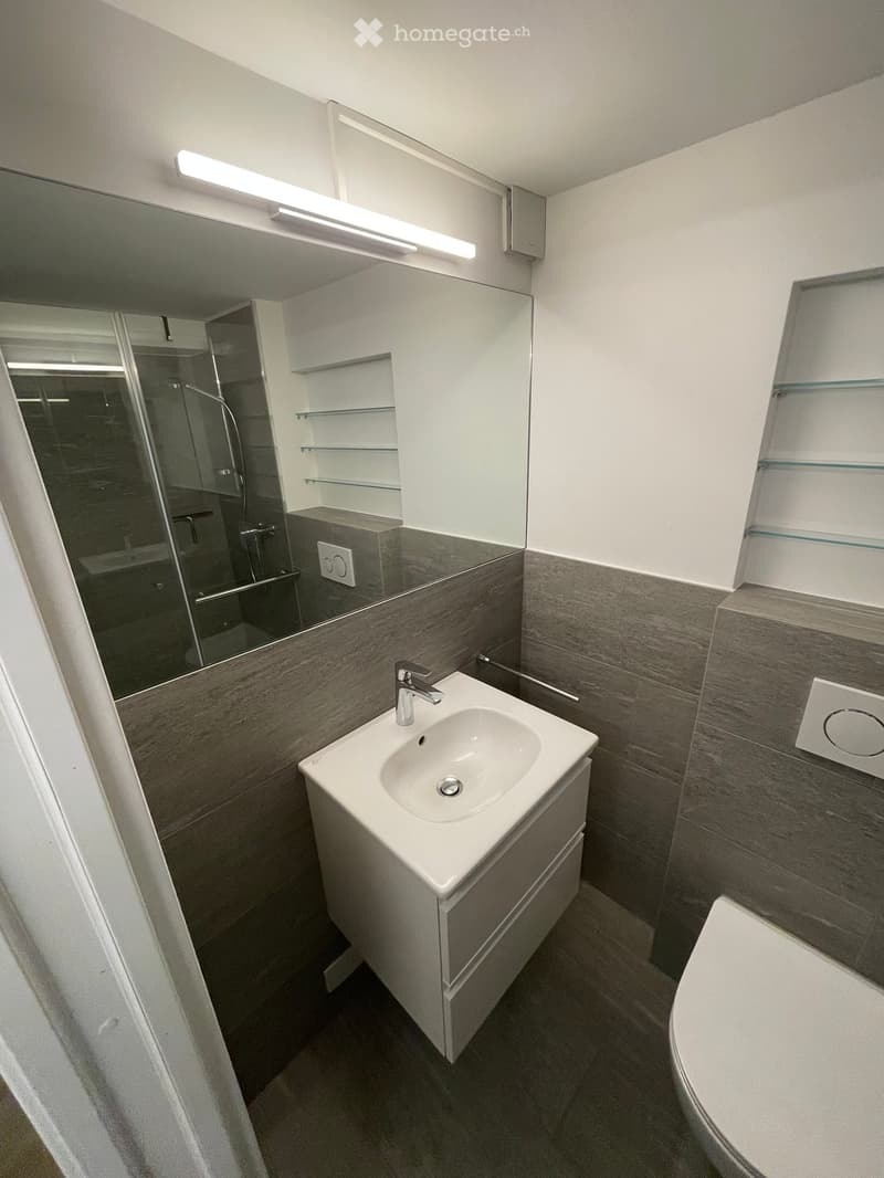 1-Zimmer mit Bad - im wunderschönen Sils im Engadin. Renoviert und komplett möbliert.*** (11)
