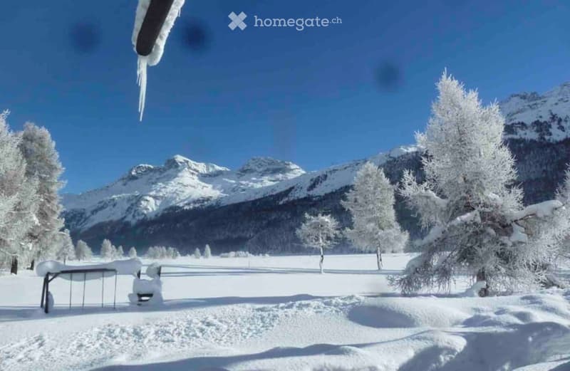 View from the house - winter