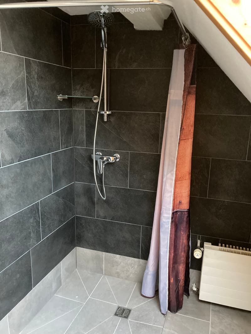 6.5 Zimmer Hausteil mit Aussenbereich (13)