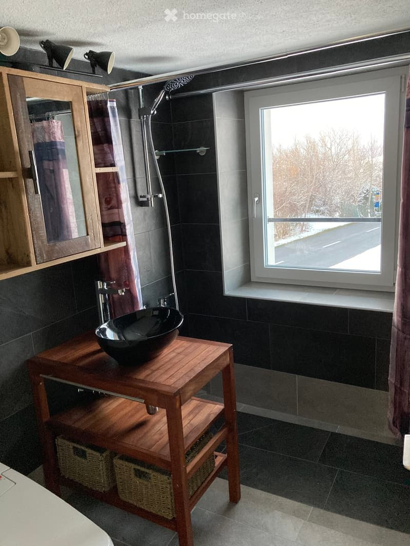 6.5 Zimmer Hausteil mit Aussenbereich (7)