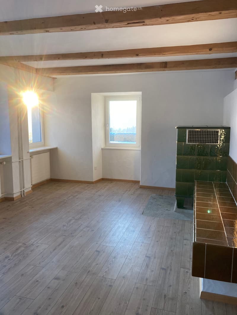 6.5 Zimmer Hausteil mit Aussenbereich (2)