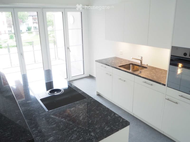 modern kitchen with granite countertops, stainless steel sink, white cabinets, glass doors, and a view of the outside