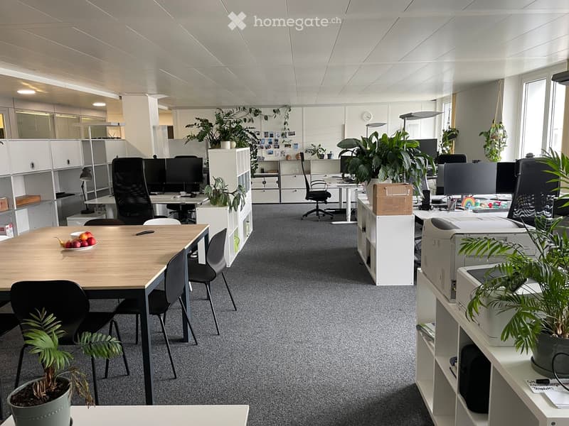 Furnished Room. Modern office space with multiple workstations, desks, chairs, computer screens, potted plants, and office supplies.