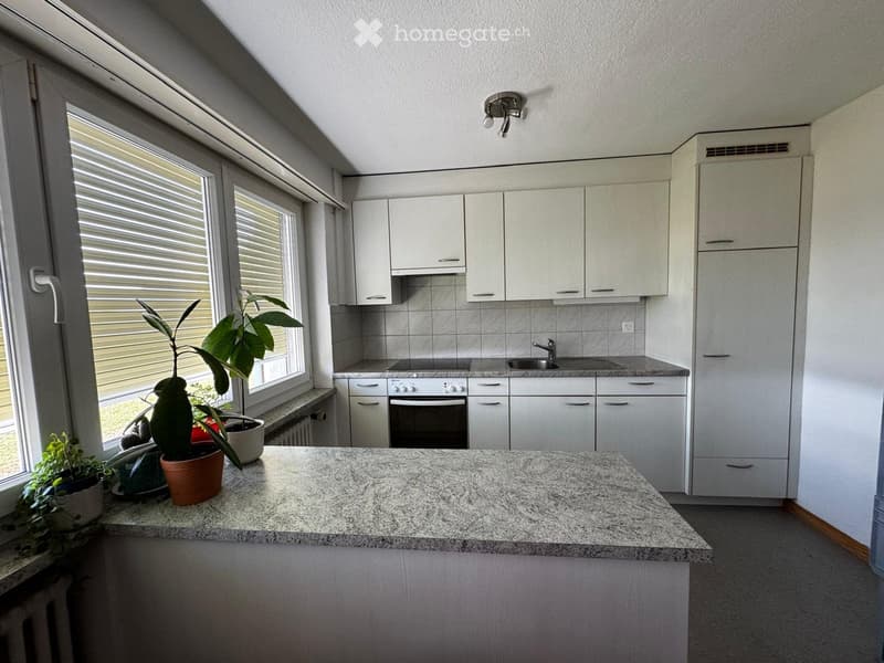 Modern kitchen with white cabinets, granite countertop, sink, and potted plants on the windowsill.