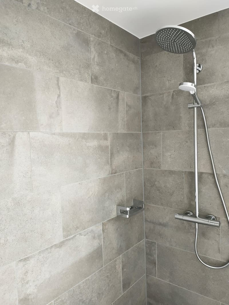 Modern shower area with grey tiled walls, a round showerhead, a handheld shower attachment, and a chrome shower rail.