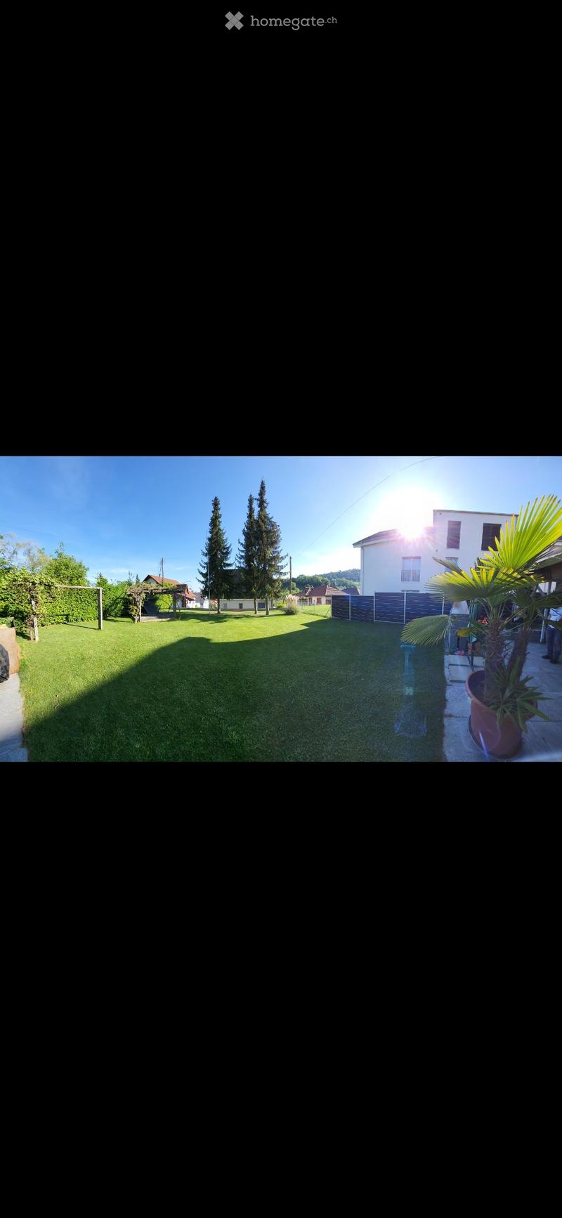 Well-maintained lawn with trees, a modern house in the background, and a potted plant on the patio.