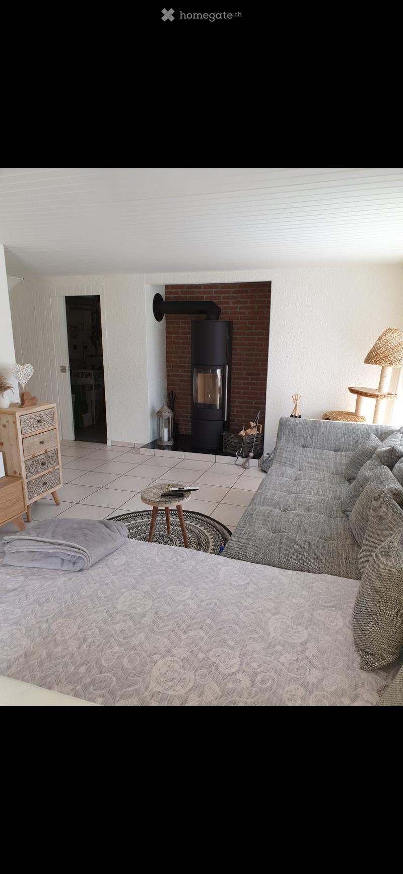 Cozy living space with a fireplace, sofa, coffee table, cat tree, and a bed in the foreground.