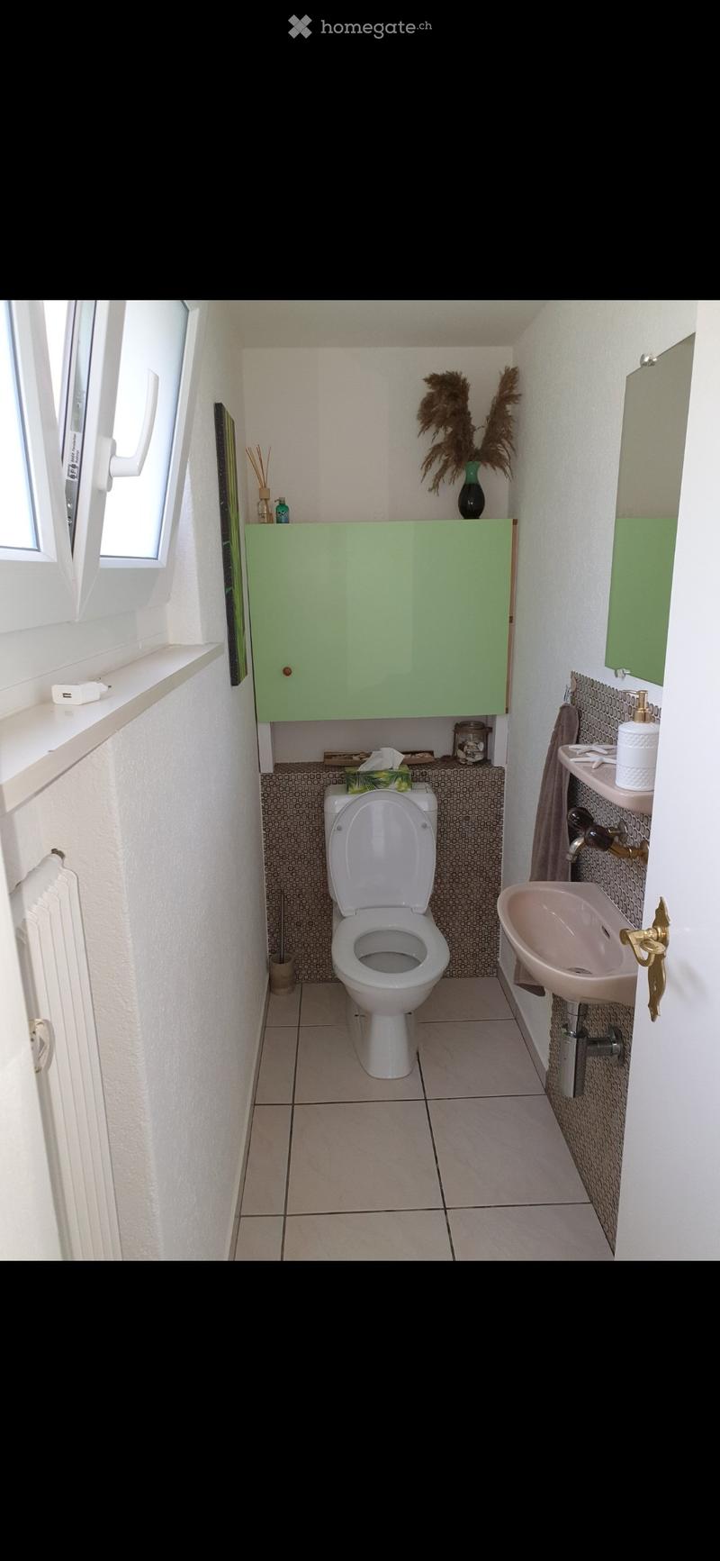 Compact bathroom with a toilet, sink, green cabinet, mirror, and decorative vase on the windowsill.