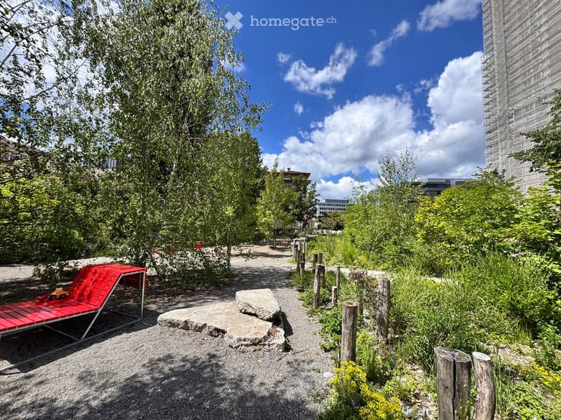 A landscaped outdoor area with gravel pathways, wooden posts, a red lounge chair, and scattered rocks, surrounded by lush greenery and trees.