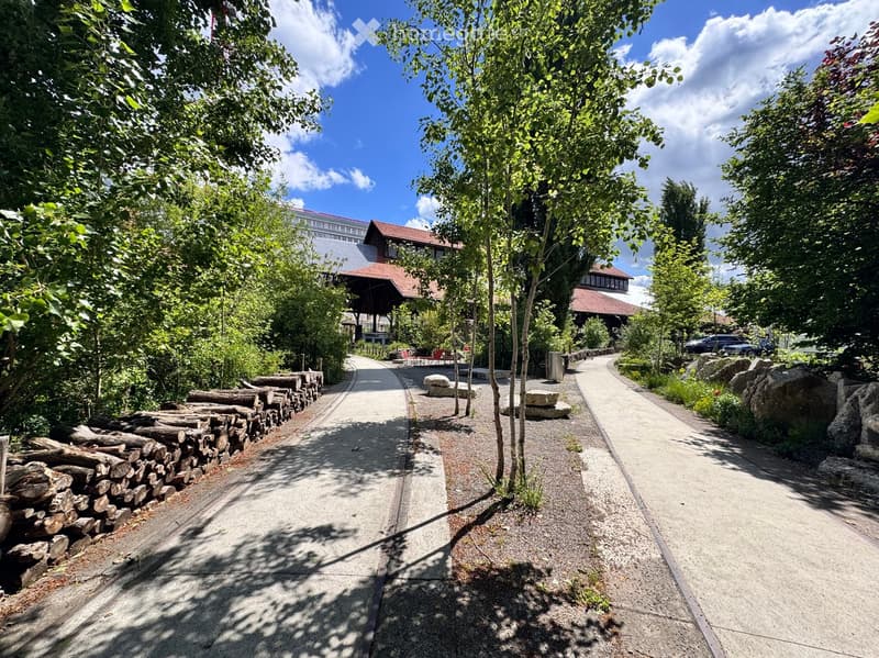 A pathway lined with trees and rocks leads to a building with a red roof, surrounded by greenery and a stack of logs on the left side.