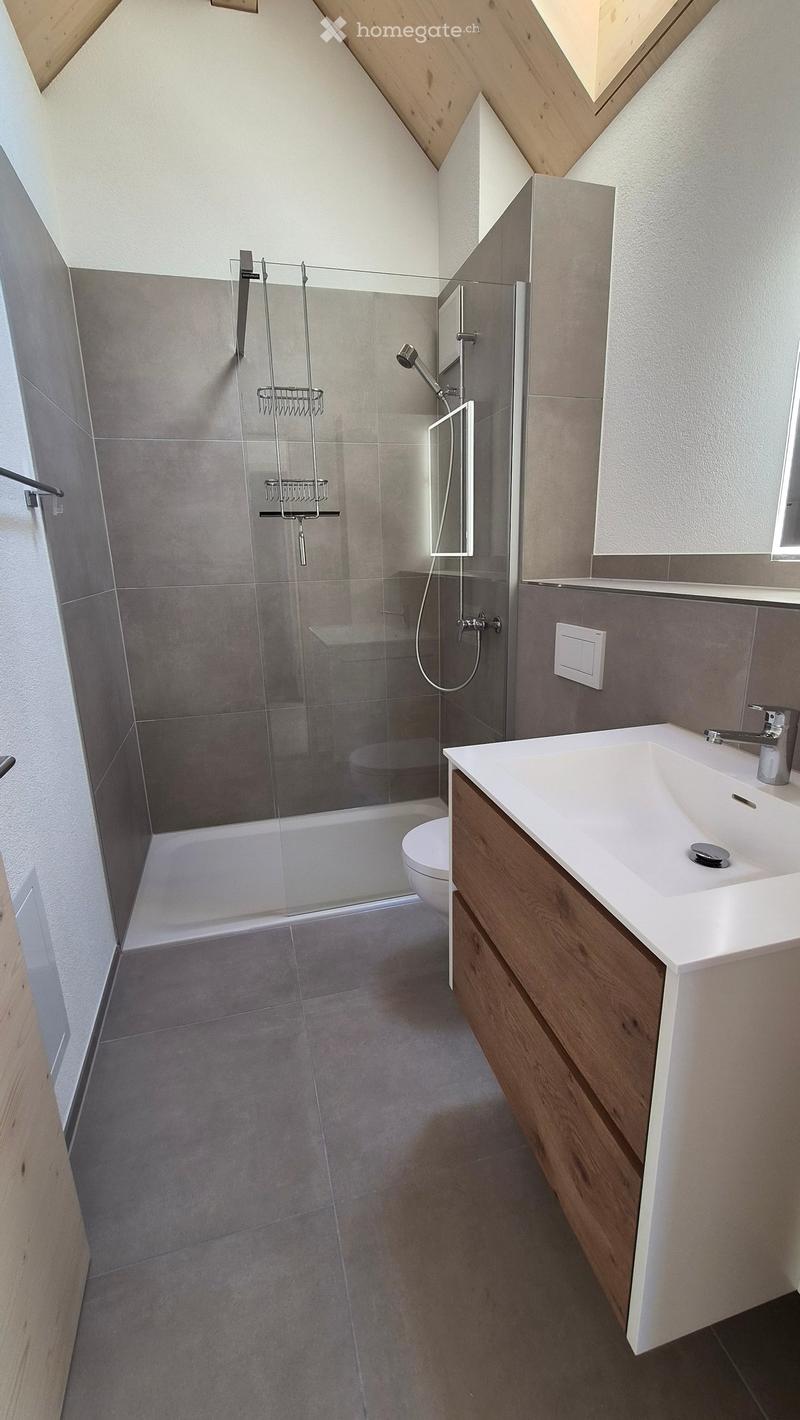 Modern bathroom with a glass-enclosed shower, a white sink with wooden cabinetry, and a toilet. The shower features a handheld showerhead and built-in shelves.