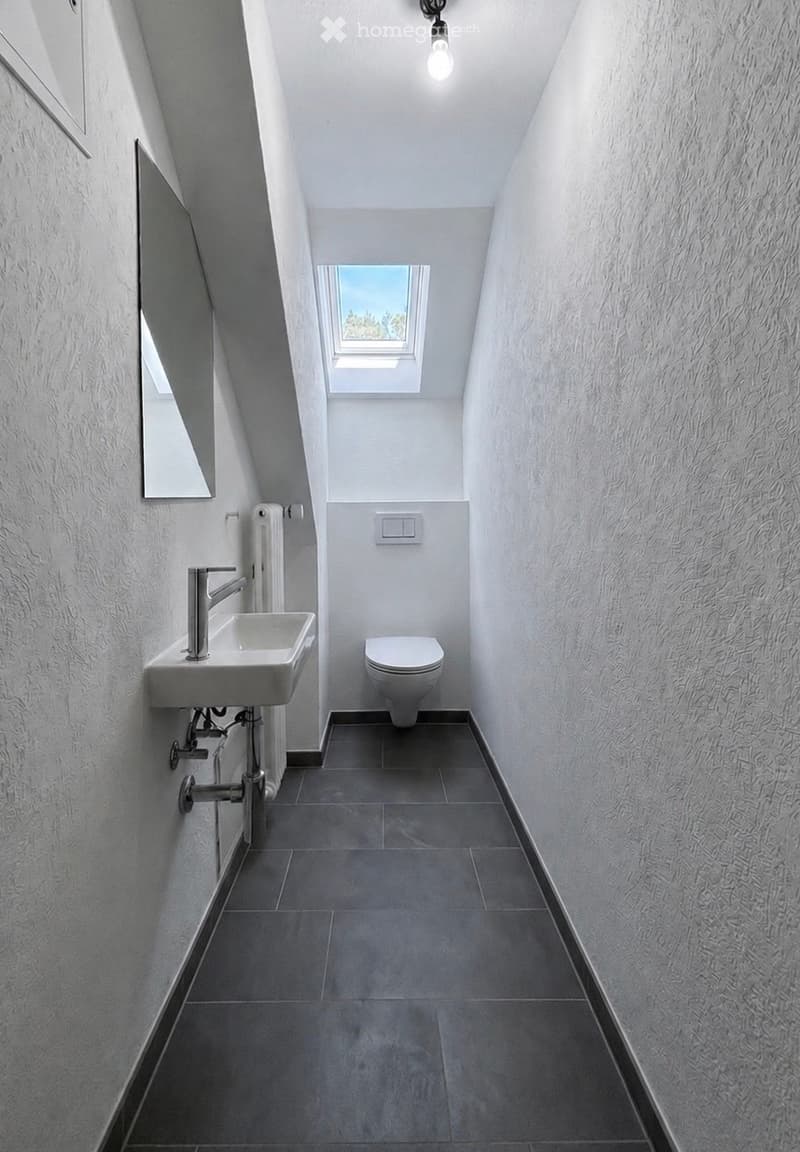 Modern bathroom with a sink, toilet, and a mirror on the wall. The space features a skylight window and a radiator.