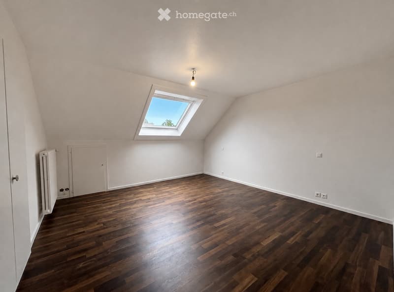 Empty attic room with wooden flooring, white walls, a skylight window, and a single door.