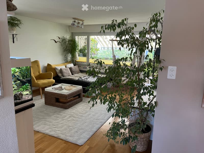 Bright living room with large windows, a sofa, armchair, coffee table, and a large potted plant. The room features a white shag rug and wooden flooring.