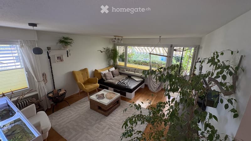 A cozy living room with a sofa, coffee table, armchair, fireplace, and hanging plants. The room features large windows with blinds and a view of the garden.