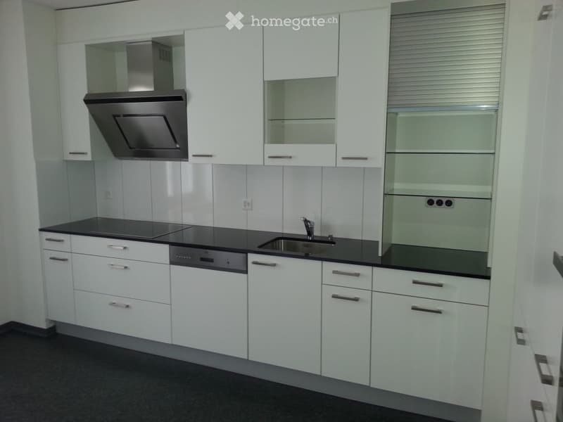 Modern kitchen with white cabinets, black countertops, stainless steel sink, dishwasher, and range hood.