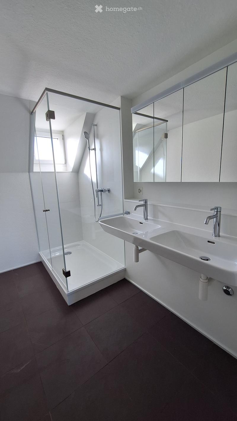 Modern bathroom with a glass-enclosed shower, double sink, and large mirror. Dark tiled floor and white walls.