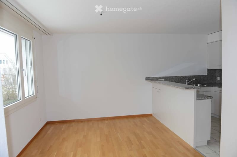 Modern kitchen with light wooden flooring, white walls, and white cabinets. Features a granite countertop, sink, and faucet.