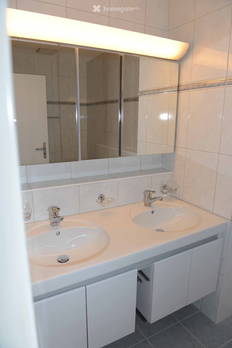 Modern bathroom with double sink vanity, mirrored cabinet, and built-in storage.