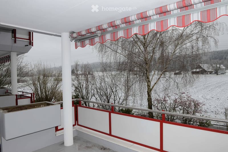 Balcony with red and white striped awning, white columns, and a view of a snowy landscape with trees and distant houses.