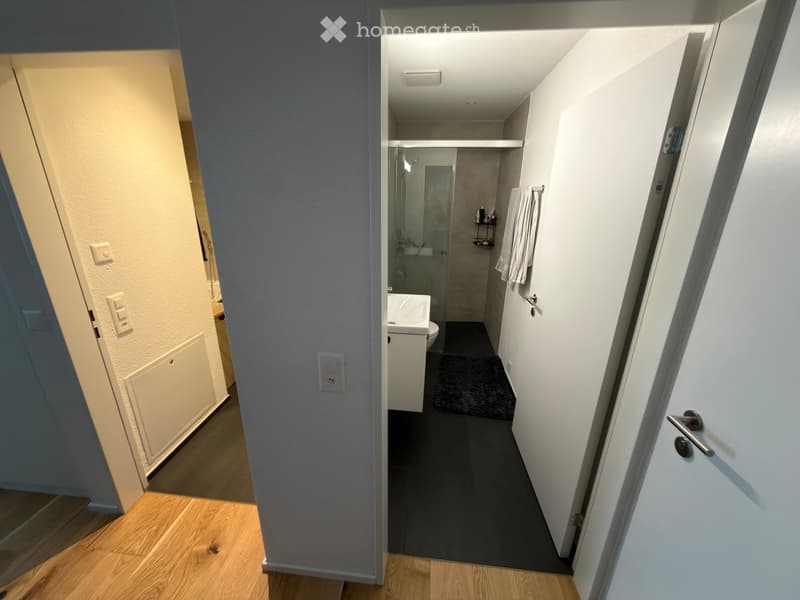 A narrow hallway leads to a modern bathroom with a white sink, toilet, and glass-enclosed shower. The hallway has wooden flooring and white walls.