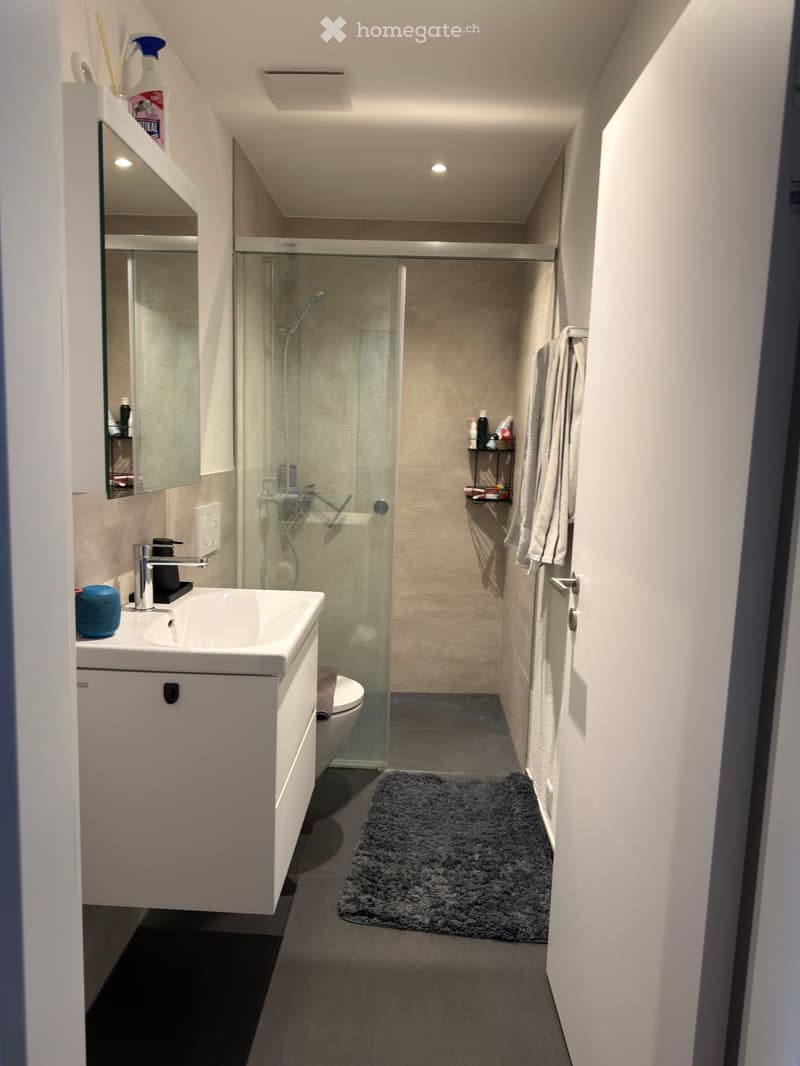 Modern bathroom with a white sink, chrome faucet, mirror, glass-enclosed shower, toilet, and a towel on the wall. The space features a grey rug and a small shelf with toiletries.