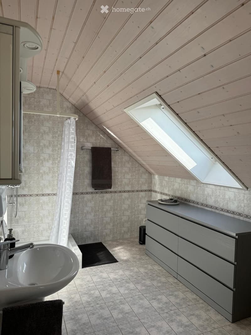 Modern bathroom with a sink, faucet, mirror, and grey cabinet. Features a shower area with a curtain, a towel on a rack, and a skylight window providing natural light.