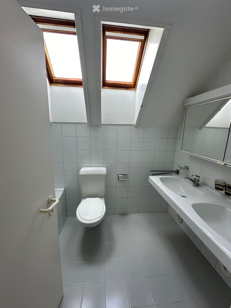 Modern bathroom with white tiles, a toilet, a sink with a faucet, and a mirror above the sink. The room has skylight windows for natural light.
