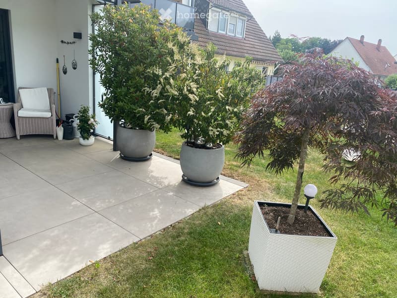 Garden area with a patio, potted plants, a white wicker chair, and a small tree in a planter box.