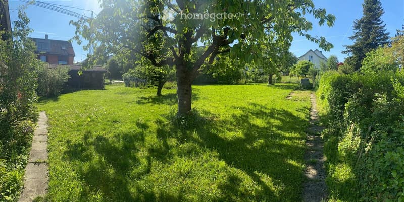 A well-maintained garden with a large tree, green grass, a concrete pathway, and surrounding hedges. The area is bordered by a gravel path and includes neighboring houses in the background.