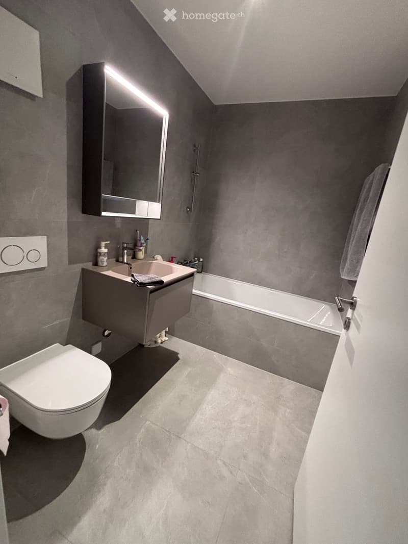 Modern bathroom with grey walls, white toilet, sink, bathtub, and built-in mirrored cabinet.