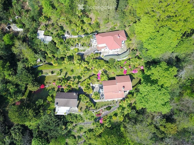 3 houses on a mountain side, surrounded by greenery, different roof styles