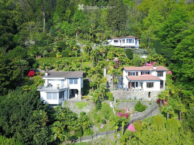 Large houses on hillside, terraced, surrounded by greenery, beautiful view, balconies