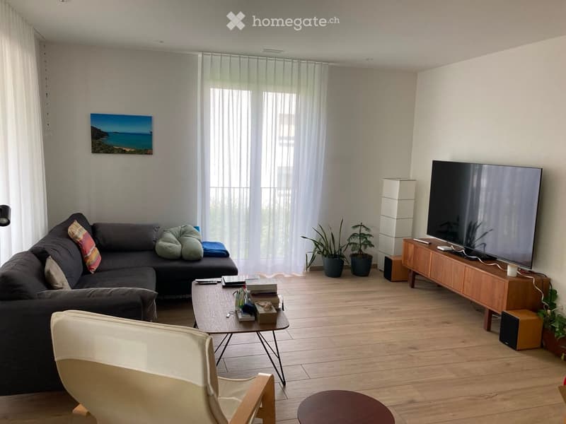 Modern living room with a grey sectional sofa, coffee table, armchair, TV on a wooden stand, and potted plants.