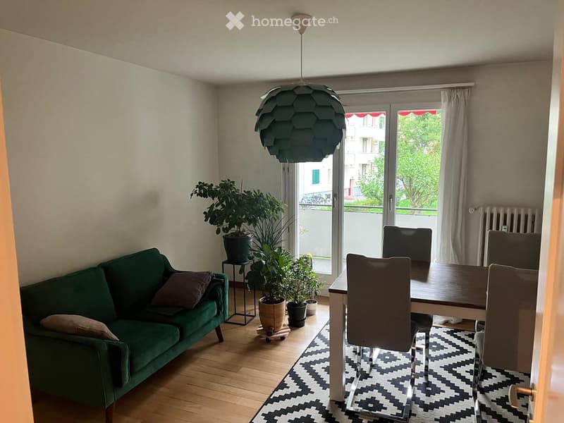 A modern living and dining area with a green sofa, wooden dining table, chairs, potted plants, and a patterned rug.