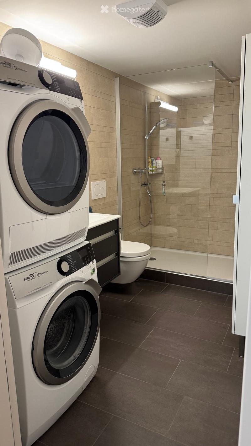 Modern bathroom with a washing machine, toilet, glass-enclosed shower, and a shelf for toiletries.