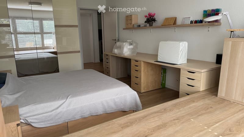 Modern bedroom with a large bed, wooden desk, chair, mirror, shelves, and a flower pot on the shelf.