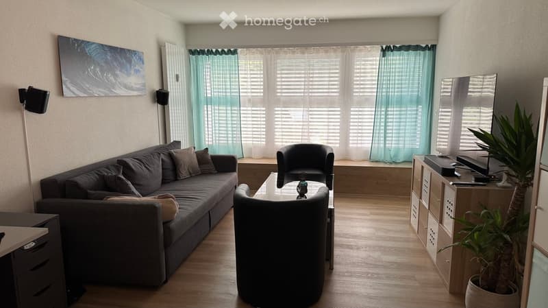 Modern living room with a grey sofa, coffee table, armchair, TV stand, and a potted plant. Large windows with blinds and a painting on the wall.